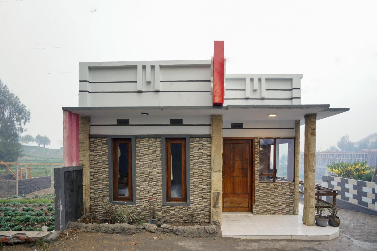 Oyo 2120 Pieter Homestay Bromo Probolinggo Exterior photo